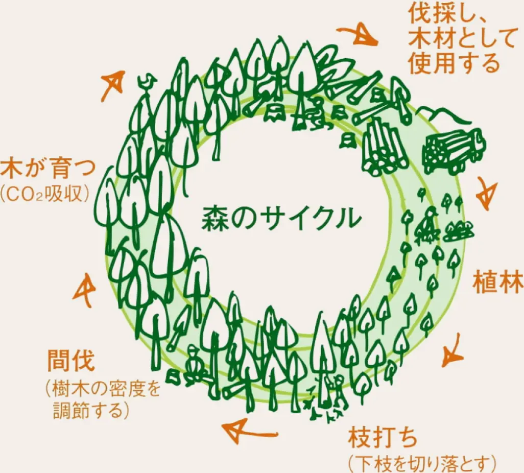 CO2を固着するBESSの建物